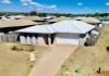 7 Jacquelyn Court, Oakey, Qld 4401