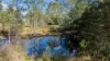 7 Jamie Avenue, Curra, Qld 4570-Image