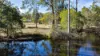 7 Jamie Avenue, Curra, Qld 4570-Image