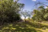 7 Joyce Crt, McEwens Beach, Qld 4740-Image