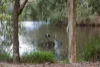 7 Karri Court, Mapleton, Qld 4560-Image
