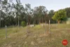 7 Lorikeet Place, Glenreagh, NSW 2450-Image
