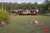 7 Lorikeet Place, Glenreagh, NSW 2450-Image
