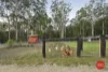 7 Lorikeet Place, Glenreagh, NSW 2450-Image