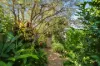 7 Lourdes Avenue, Urunga, NSW 2455-Image