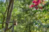 7 Luders Street, McLaren Vale, SA 5171-Image