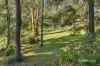 7 Main Road, Hepburn Springs, Vic 3461-Image