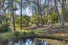 7 Main Road, Hepburn Springs, Vic 3461-Image