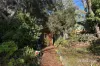 7 Main Road, Hepburn Springs, Vic 3461-Image