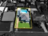 7 Manning Street, Campbelltown NSW 2560-Image