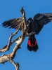 7 Marginata Crescent, Dwellingup, WA 6213-Image