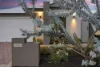 7 Mayali Bend, Banksia Grove, WA 6031-Image