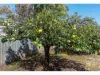 7 McLean Street, Elizabeth Park, SA 5113-Image