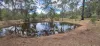 7 McNicholl Road, Wattle Camp, Qld 4615-Image