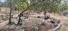 7 McNicholl Road, Wattle Camp, Qld 4615-Image