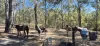7 McNicholl Road, Wattle Camp, Qld 4615-Image