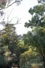 7 Melissa Close, Hurstbridge, Vic 3099-Image