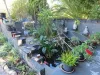 7 Minna Street, Stanthorpe, Qld 4380-Image