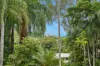 7 Moresby Street, Trinity Beach, Qld 4879-Image
