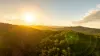 7 Myrtle Court, Mooloolah Valley, Qld 4553-Image