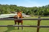 7 Nathan Valley Road, Mount Nathan, Qld 4211-Image