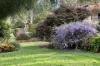 7 Nelson Street, Middle Ridge, Qld 4350-Image