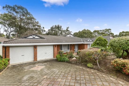 7 Nicholas Walk, Aberfoyle Park, SA 5159