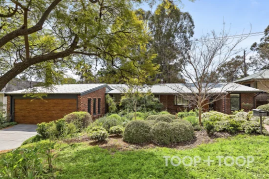 7 Nilpinna Street, Burnside, SA 5066