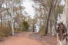7 Noala Street, Aranda, ACT 2614-Image