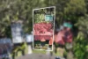 7 Norma Crescent, Cheltenham, NSW 2119-Image
