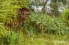 7 North Yunderup Road, North Yunderup, WA 6208-Image