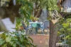 7 O'Connell Street, Little Grove, WA 6330-Image
