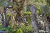 7 O'Connell Street, Little Grove, WA 6330-Image