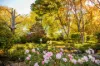 7 Old Baker Road, Wandin East, Vic 3139-Image