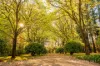 7 Old Baker Road, Wandin East, Vic 3139-Image