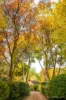 7 Old Baker Road, Wandin East, Vic 3139-Image