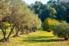 7 Old Baker Road, Wandin East, Vic 3139-Image