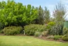 7 Old Bull Creek Road, Strathalbyn, SA 5255-Image