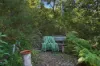 7 Orchis Drive, Tamborine Mountain, Qld 4272-Image