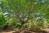 7 Packsaddle, Marlow Lagoon, NT 0830-Image