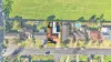 7 Pademelon Avenue, St Helens Park, NSW 2560-Image