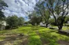 7 Pagan Street, Jerrys Plains, NSW 2330-Image