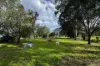 7 Pagan Street, Jerrys Plains, NSW 2330-Image