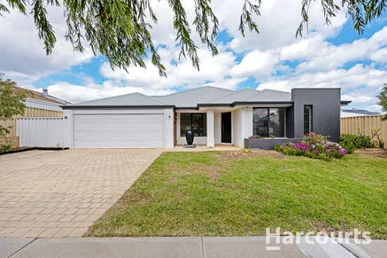 7 Paisley Link, Butler, WA 6036