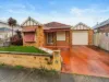 7 Paterson Drive, Lynbrook, Vic 3975-Image