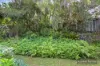 7 Pickering Court, Tewantin, Qld 4565-Image