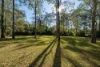 7 Pinecone Court, Bunya QLD 4055-Image