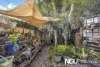 7 Reerden Street, Collingwood Park, Qld 4301-Image