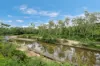 7 River Court, Alice River QLD 4817-Image