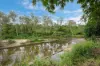 7 River Court, Alice River QLD 4817-Image